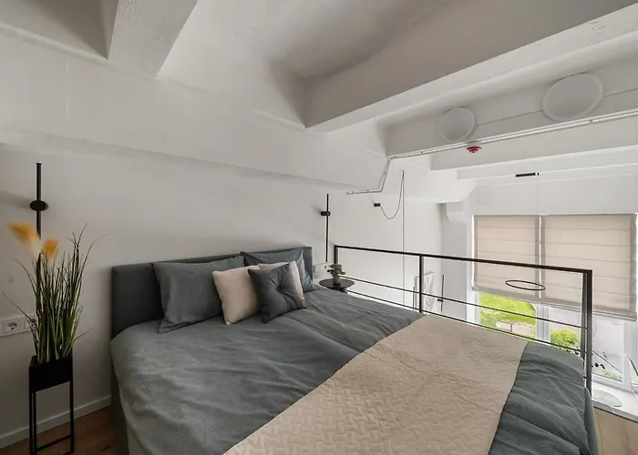 Loft 13 公寓 维尔纽斯